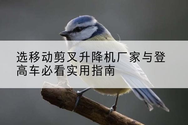 甘洛电动升降机厂家-选移动剪叉升降机厂家与登高车必看实用指南