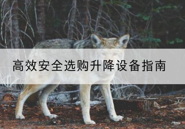 甘洛升降货梯厂家推荐-*安全选购升降设备指南