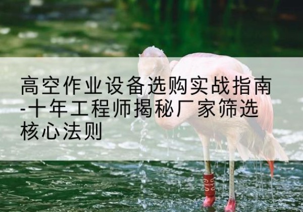 甘洛剪叉式升降机厂家-高空作业设备选购实战指南-十年工程师揭秘厂家筛选核心法则
